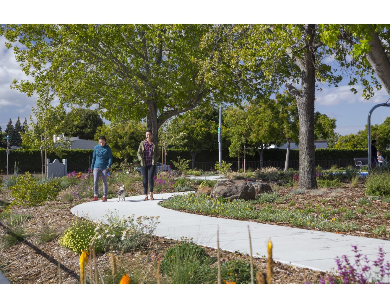 Springtown Website Pictures Page 002